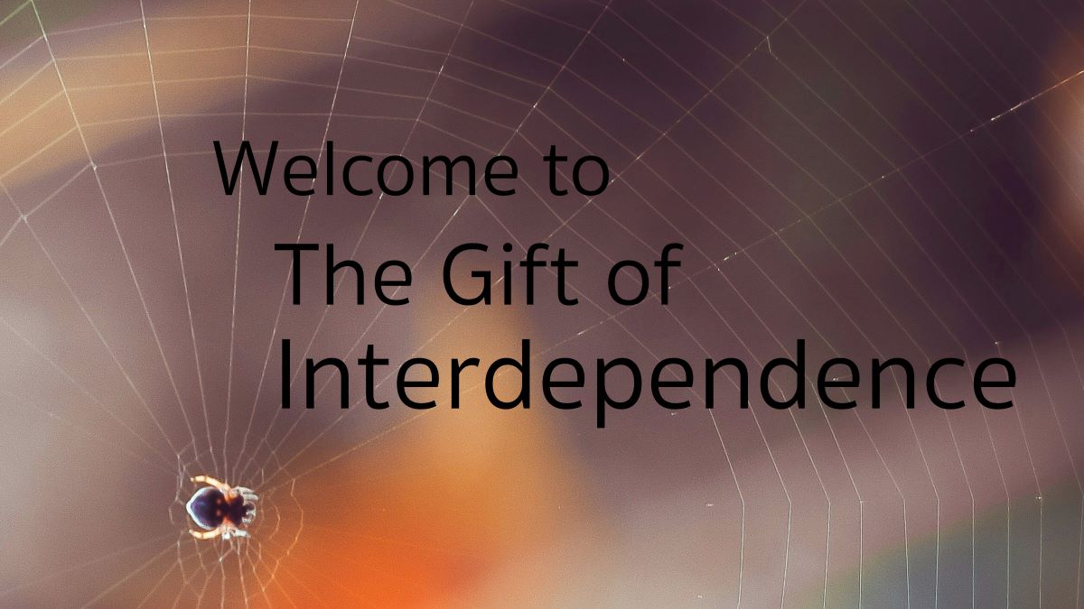 Soul Matters - Interdependence